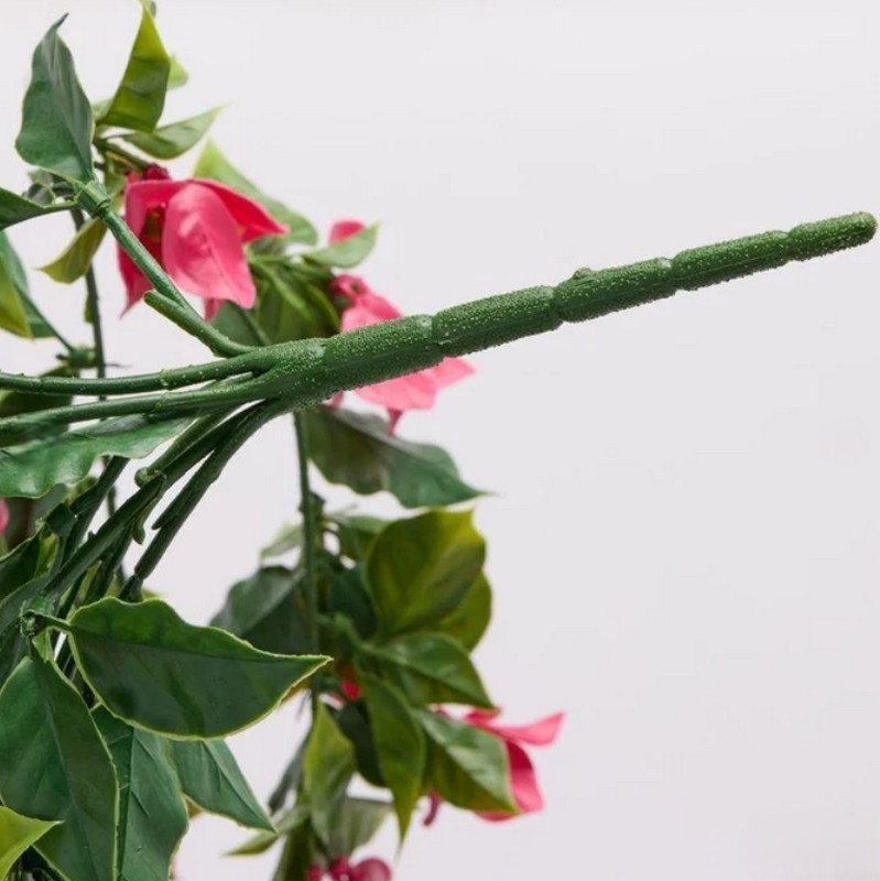 Bouganville cascante anti UV fucsia con foglie verdi, utilizzo interno ed esterno